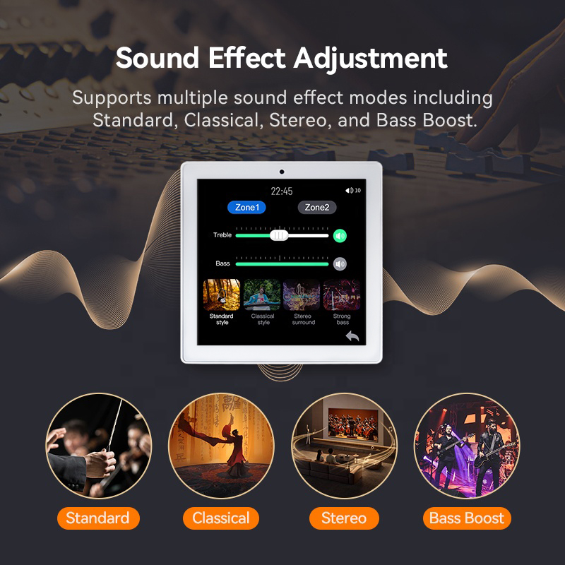 Amplifier dinding audio 2 zona - Audio Music Background ulasan dan harga